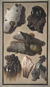 Specimens van vulkanisch materiaal, uit 